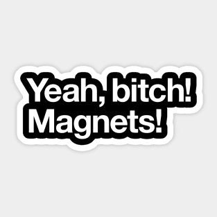 Yeah.. Magnets! Sticker